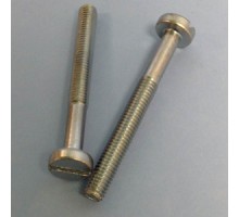 11052351001 - Pan Head Slotted Mach Screw 6mmx55mm (Bag Of 10)