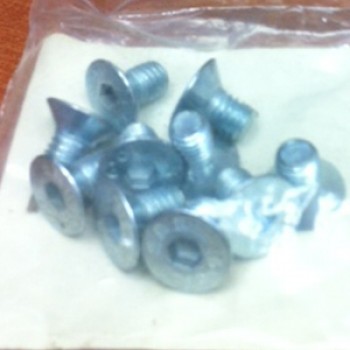 11052928001 - Cap Screw F Socket Head 6mm X 10mm (Bag Of 10)