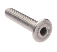 11052929000 - Screw - Socket Ft. Head M10 X 50mm