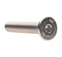 11052930000 - Cap Screw F Soc Head (10mmx60mm) S.S.