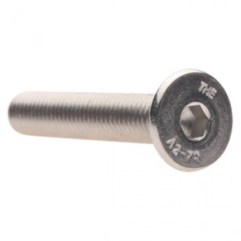 11052930000 - Cap Screw F Soc Head (10mmx60mm) S.S.