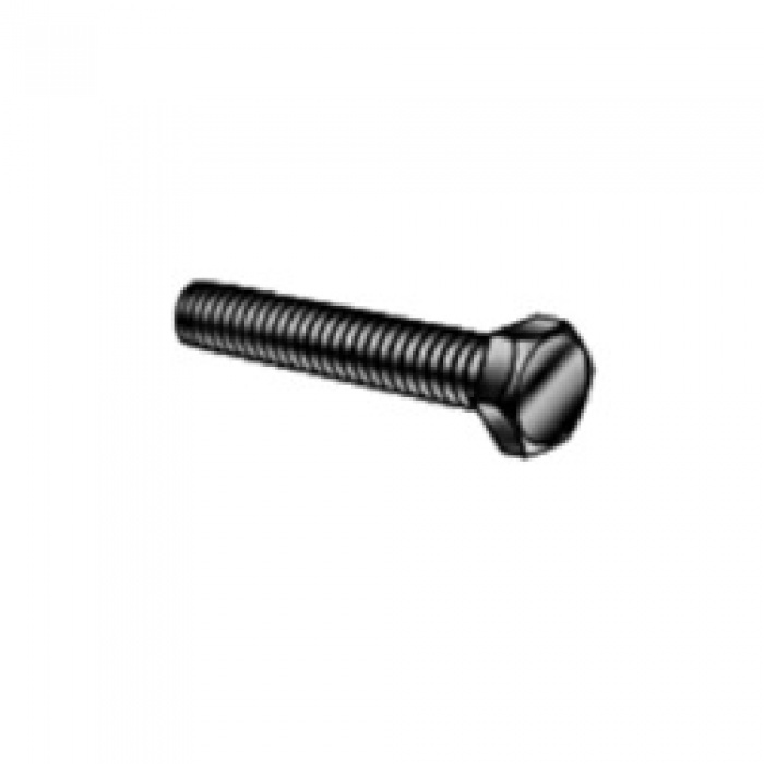 000024681 - Screw Hex  Hd Cap