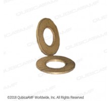 000028779 - Thrust Washer