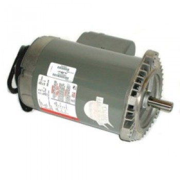 090007310 - Back End Motor 50Hz